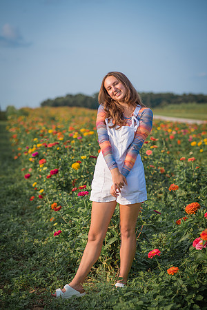 Sunflower-5