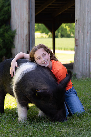 Pigs-40