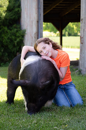 Pigs-43