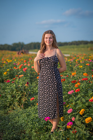 Sunflower-1