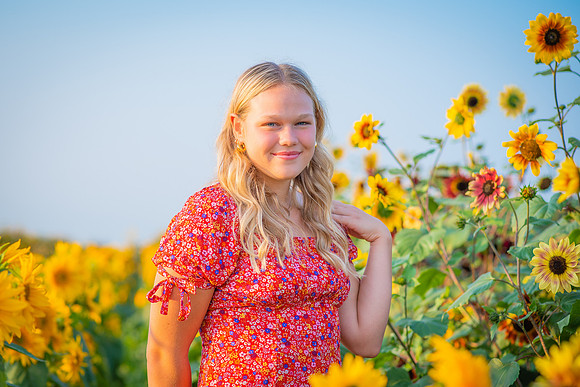 Sunflower-48-2
