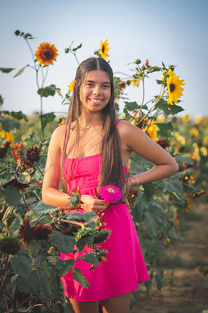 Sunflower-21