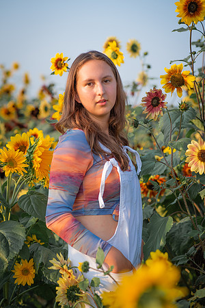 Sunflower-40