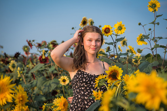 Sunflower-28