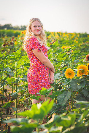 Sunflower-19-3